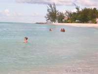 Dover beach