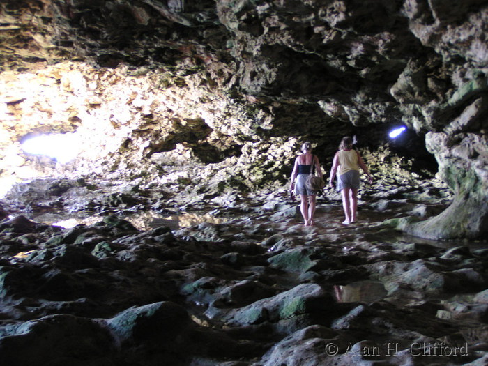 Animal Flower Cave.