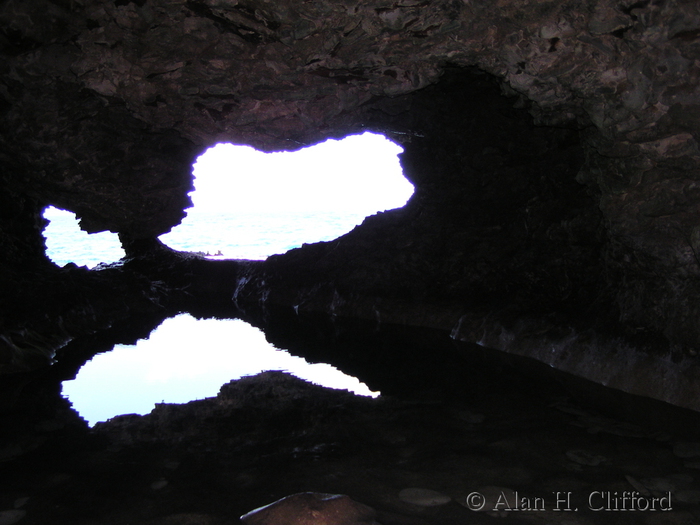 Animal Flower Cave.