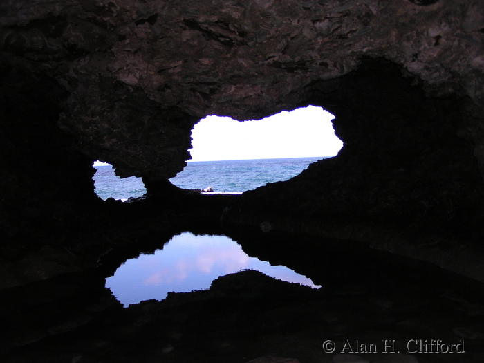 Animal Flower Cave.