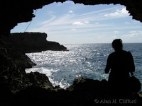 Animal Flower Cave.