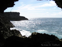 Animal Flower Cave.