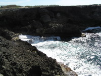 The coast near Animal Flower Cave.