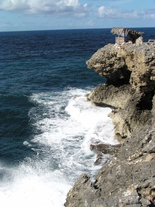 The coast near Animal Flower Cave.