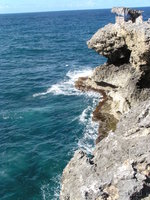 The coast near Animal Flower Cave.