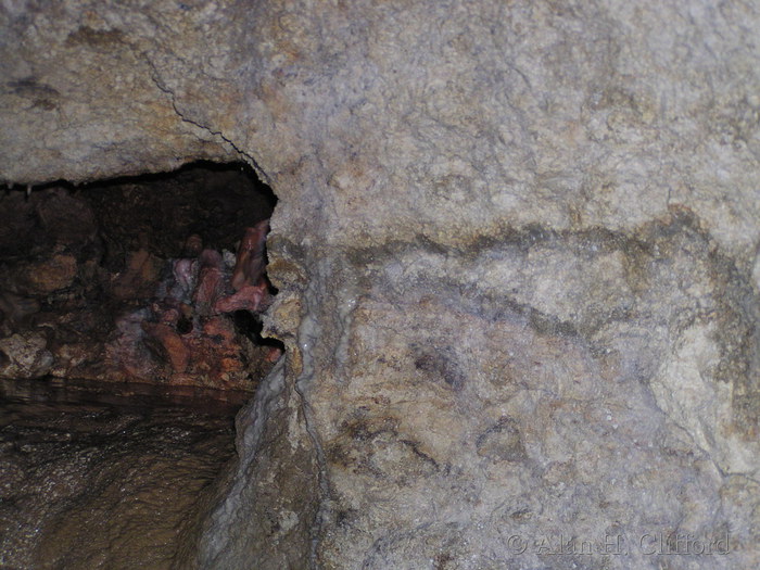 Harrison’s Cave.