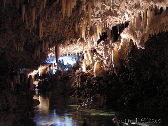 Harrison’s Cave.