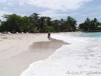 Dover beach.