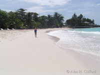 Dover beach.