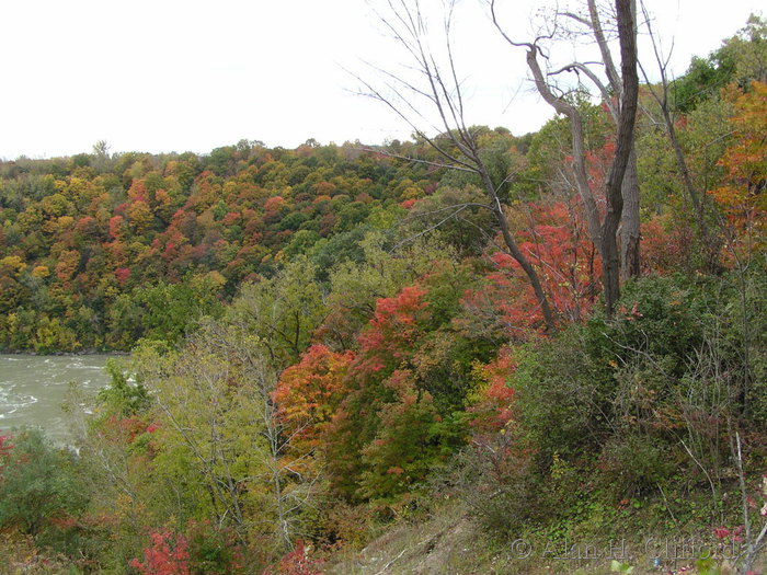 River gorge, near Niagara