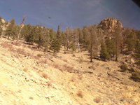 View from the California Zephyr train