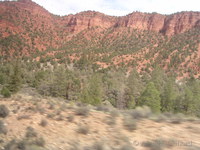 Red Canyon