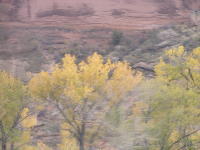 View from the California Zephyr train