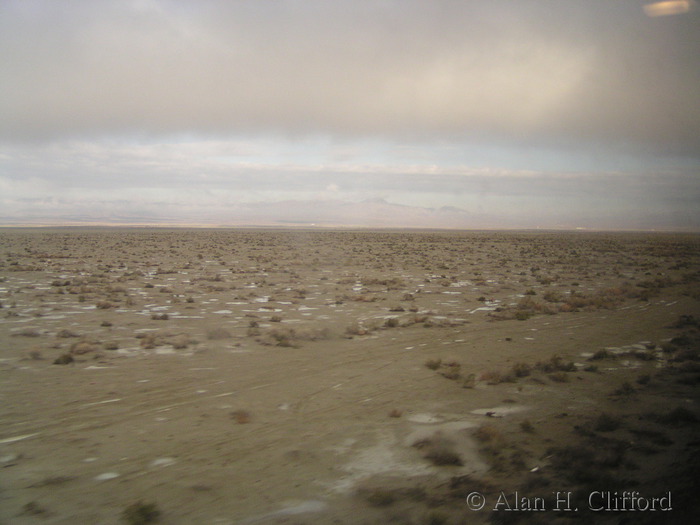 Muddy desert