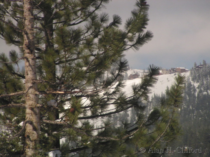 West of Truckee