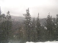 West of Truckee