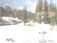 West of Truckee