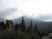 Driving towards Sequoia National Park