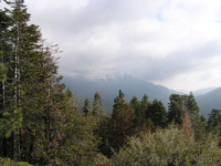 Driving towards Sequoia National Park