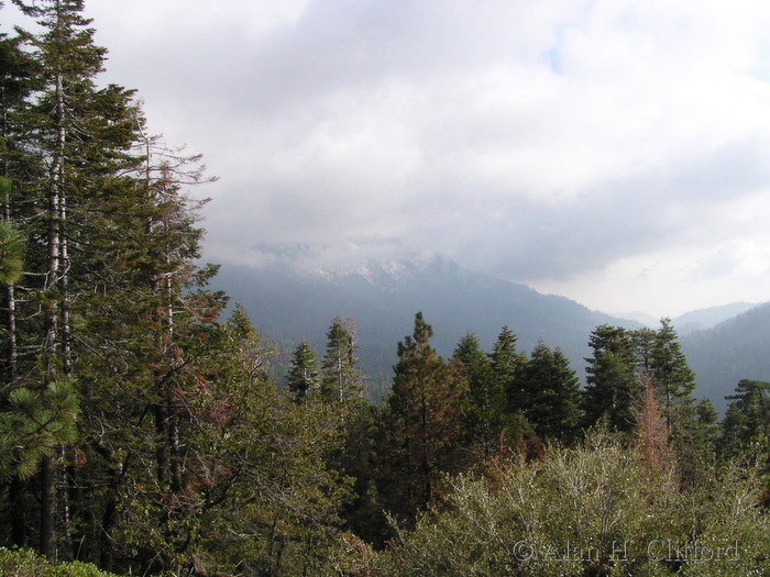 Driving towards Sequoia National Park