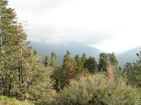 Driving towards Sequoia National Park