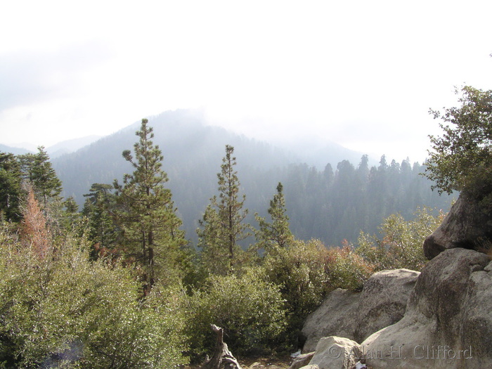 Driving towards Sequoia National Park