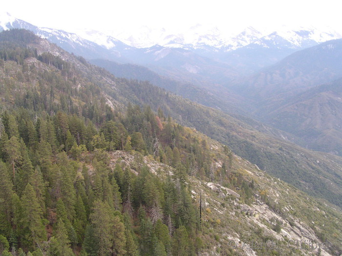 View from Moro Rock