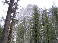 Tokopah valley trail