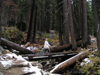 Tokopah valley trail