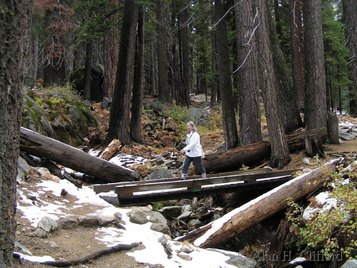 Tokopah valley trail