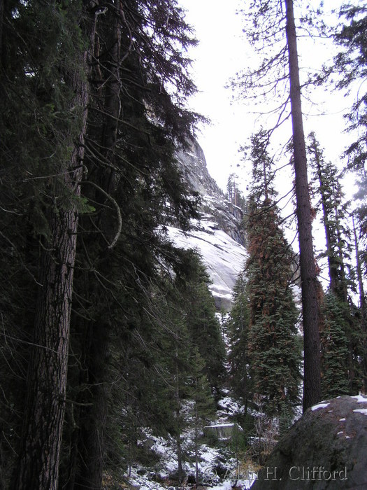 Tokopah valley trail