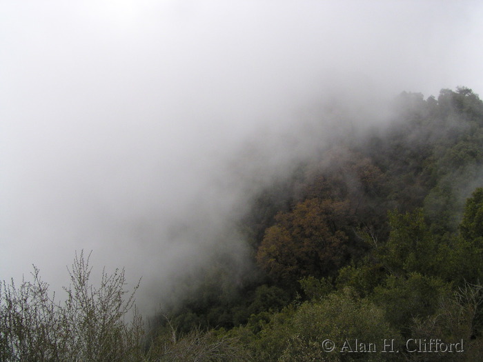 Leaving Sequoia National Park, heading south