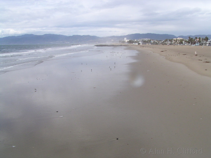 Beach at Venice