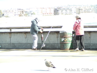 Fishing on Venice pier