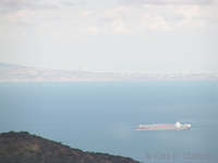 Views from the airport road, Catalina