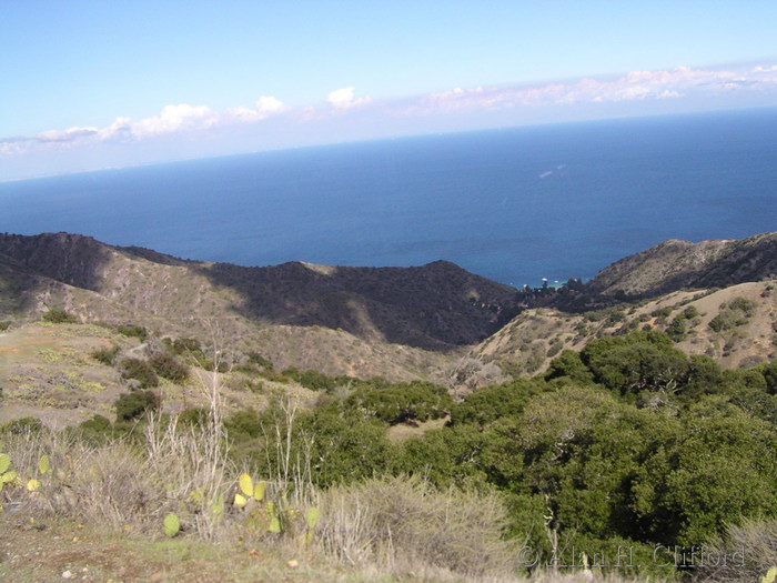 Views from the airport road, Catalina