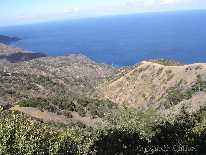 Views from the airport road, Catalina