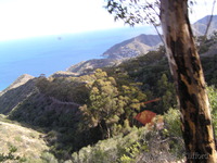 Views from the airport road, Catalina