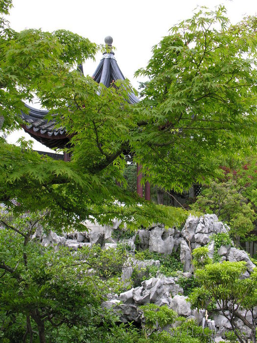 Dr. Sun Yat-Sen Garden