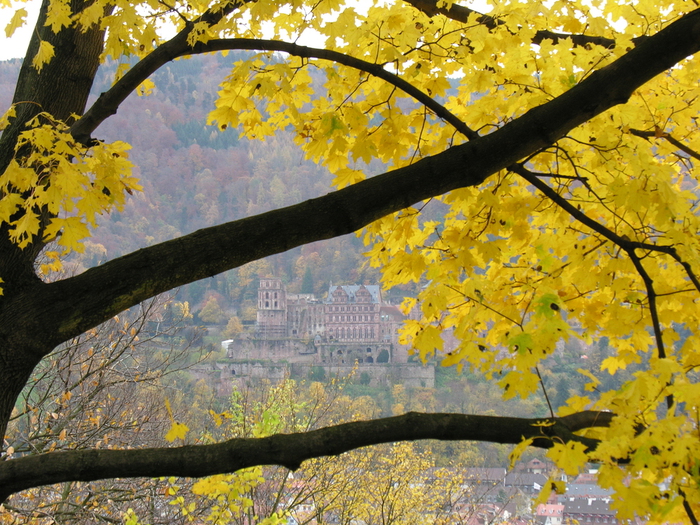 Heidelberg Castle viewed from the Philosophers’ Walk