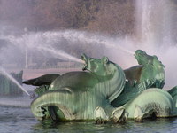 Sea horses at Buckingham Fountain