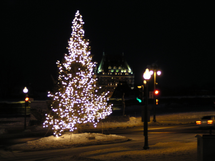 Tree at night