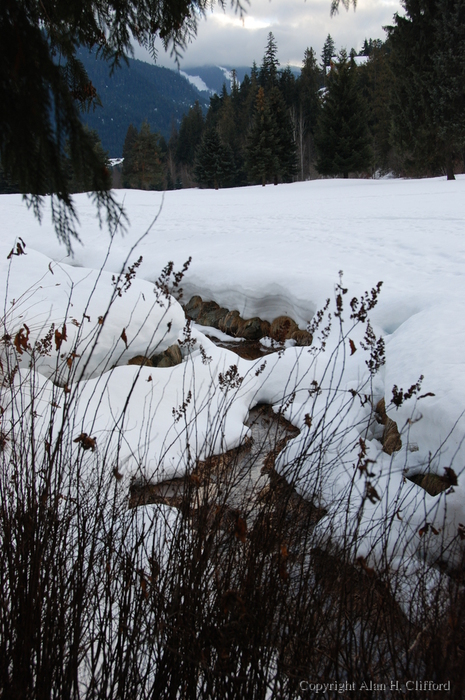 Stream near Alta Lake