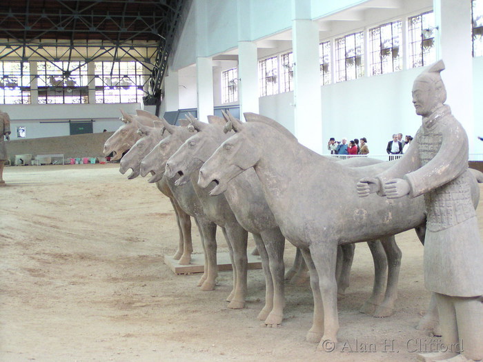 Terracotta horses