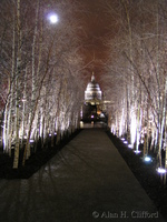 St. Paul’s Cathedral seen from outside the Tate Modern