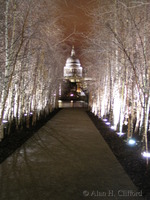 St. Paul’s Cathedral seen from outside the Tate Modern