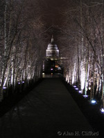 St. Paul’s Cathedral seen from outside the Tate Modern