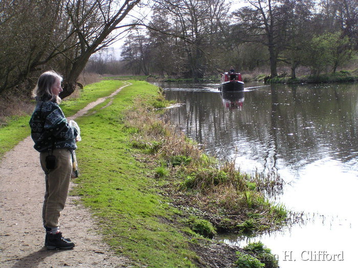 Life on the Wey