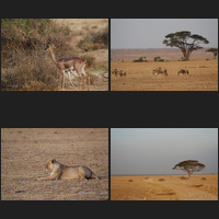 Amboseli National Park