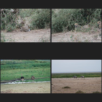 Amboseli National Park